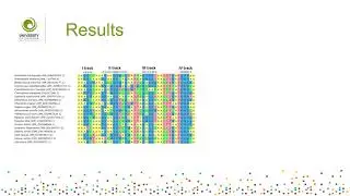 G-Quadruplex in Gene Encoding Large Subunit of Plant RNA Polymerase II: A Billion-Year-Old Story