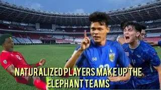 naturalized players make up the elephant teams #goalhighlights