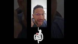 Digest&atilde;o no Duodeno - Sistema Digestivo - Biologia com o Tubar&atilde;o em Segundos!