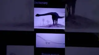 Barasaurus