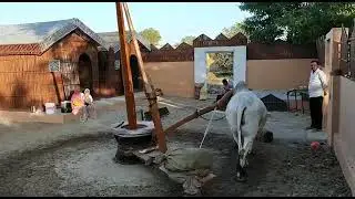 bull driven oil extraction contact 8359874147,9399978567
