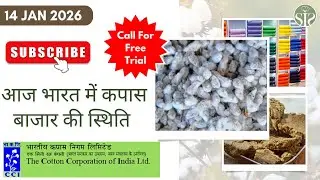 ऐसा रहा आज सम्पूर्ण भारत का रुई बाज़ार 🤔cotton market rate today #kapas #cotton
