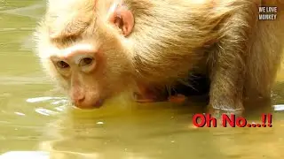Breaking Heart!! Baby Rex Almost Drown in The Water, Mom Rose Taking Rex Into Water While Sleeping