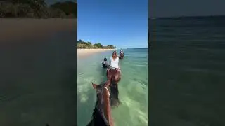 The Ocean is the Rescued Horse&rsquo;s Playground on this Exotic African Island.