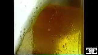 Red Dog Beer Commercial - 1995