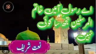New Beautiful Naat Sharif 2026 | Aye Rasooly Amen @hadiya_e_aqeedat 