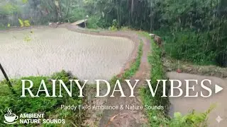 Heavy Rainfall While Walking on a Quiet Footpath