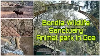 BONDLA WILDLIFE SANCTUARY || GOA || ANIMAL PARK #goavlogs #animals #zoo #goatrip #goa