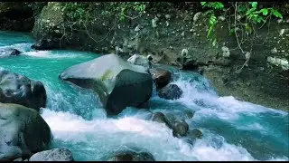 Peaceful River Sounds for Therapy & Sleep | Relieve Stress and Boost Your Mood Naturally