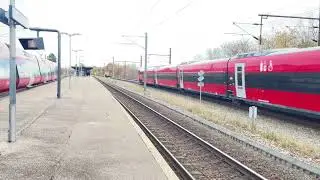 New DSB talgo train with a drive cab￼ at the rear #trainspotting #train #dsb #railway #talgo
