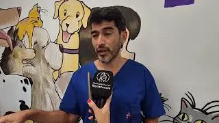 19.12.25 - Recomendaciones para cuidar a las mascotas durante los festejos de fin de año