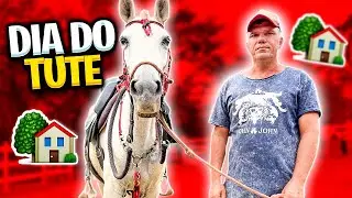 Dei um CAVALO pro Meu PEÃO Levar pra CASA