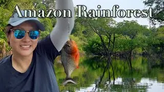 Amazon River Life: 4 Days on a Houseboat in Brazil