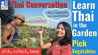 288-Speak Thai| Thai Conversation|Pick vegetable|เก็บผัก|farmer |#garden  #father #dad #family