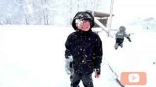 a snow day in Sweden 🇸🇪 یک روی برفی در سویدن