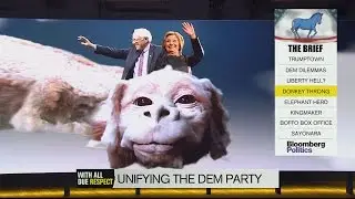 Democratic Unity Project: Where Does It Stand?