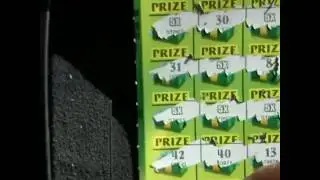 Georgia Lottery 