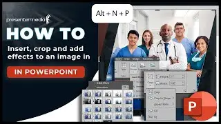 Easy step-by-step guide to add, shape, and enhance your images in PowerPoint.