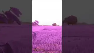my fast vlog - my fast blog -shorts shorts #myfastvlog my first vlog