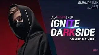 IGNITE X DARKSIDE ALAN WALKER  | made by smmup