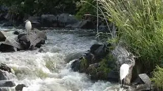 Link River Oregon