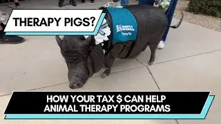 Pawsitive Friendships Special Needs Pet Therapy - Your AZ State Tax $ Can Fund Charitable Programs