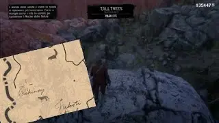 Cochinay RDR2