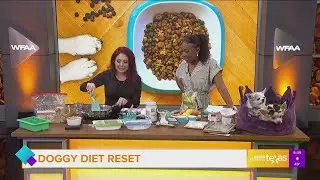 Doggy Diet Reset