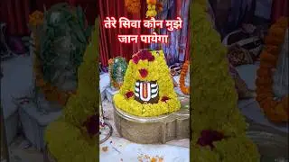 tere siwa koun mujhe jaan payega ❤🌹🚩 #rojgareshwarmahadev #mahadev #bholenath