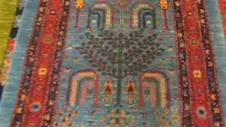 Gorgeous Persian Tribal Rugs! Bidjar's, Gabbehs, Tree of Life runners and more!