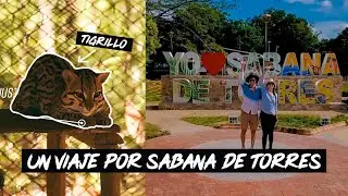 Travesías desde Sabana de Torres