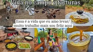 Amanhecer na roça/ rotina com os animais/ café da manhã/ doce de leite / almoço e rotina no lar
