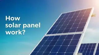 How Solar Panels Work? #solarsystem #solar #solarpanel #alternative #dailyfactdose