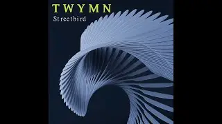TWYMN-Streetbird