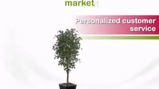 7 foot Ginkgo Tree: Potted - artificialplantsandtrees.com
