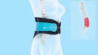 Waist Back Support Belt for Women Men,TIMTAKBO Lower Back Brace Lumbar Support for Lower Back Pain