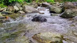 Peaceful Stream Ambience for Study &bull; 1 Hour Natural Flowing Water Sound for Focus 4K