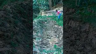 Building rice field bunds #hong #alonetv #RiceFarmingLife TraditionalFarming
