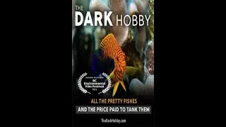 The Dark Hobby