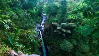 River White Noise: The Perfect Background for Stress Relief #StressFree #RiverSounds #RelaxationAid