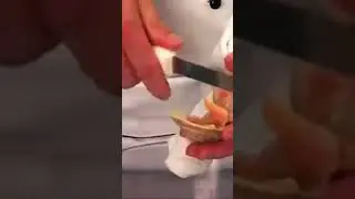How to Open A Fresh #Clam #clams on the half shell #recipe seafood instructional #Fun Funny video