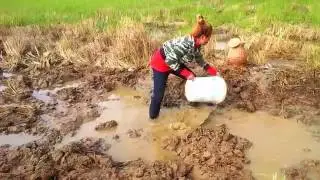khmer Net fishing at pailin province   cambodia fishing   khmer net fishing 2017