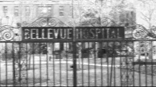 Bellevue Psychiatric Hospital