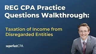 REG CPA Practice Questions: Taxation of Income from Disregarded Entities