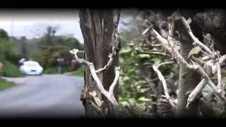 ERC 2014 - A Year with Kevin Abbring
