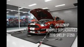 Whipple Supercharged Ruby Red Metallic 2018 Ford Mustang Shelby GT350 700hp Dyno!
