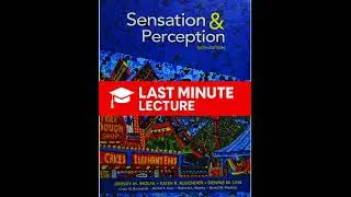Vision Basics: Light to Neural Signals | Chapter 2 &ndash; Sensation & Perception (6th)