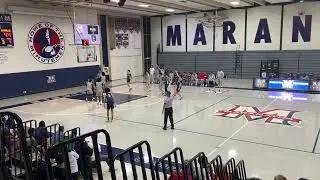 Rebound | Giacomo Manzella | 2025 | SG