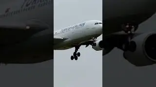 Аэропорт Внуково. Airbus A330-223, бортовой №: TC-JIR, а/к Turkish airlines.
