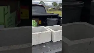 #reciclando #walking #garden #plants #viral #youtubeshorts #brevardcountyfl #florida #casayjardin